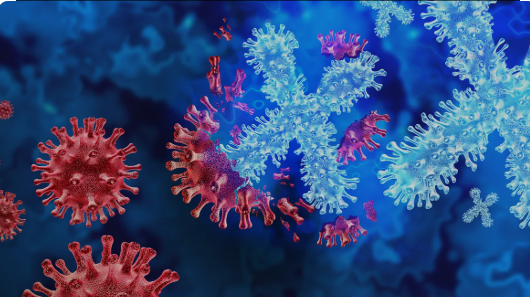 79 Orang Tewas di Kongo Akibat Wabah Penyakit X Mirip Flu, Dunia Waspada